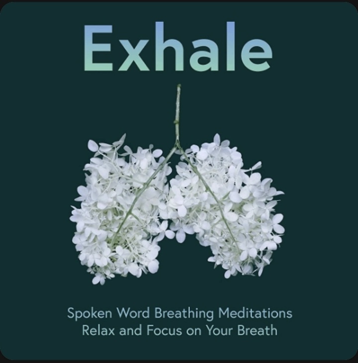 Wayfinder Counselling 2 A27101C5 CB79 455C AFA5 6A80BEC09BE7 1 201 a